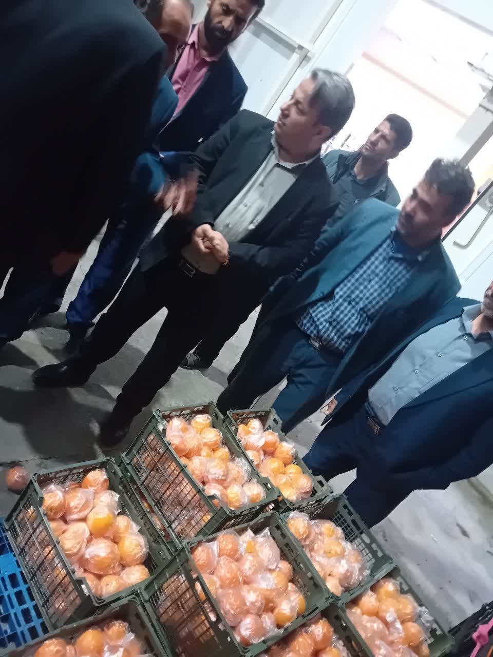 سفر مدیرکل دفتر حوزه مدیرعامل، روابط عمومی و مدیریت عملکرد و بازرسی سازمان مرکزی تعاون روستایی ایران به استان مرکزی_0